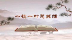 村民称遇到窝心事：拿着宅基证却找不