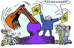 村民诉称其养鸡大棚被强拆造成严重损