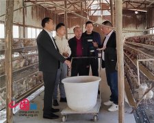 龚国林主任一行赴湖北能鹏人参鸡公司
