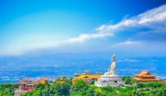 被蹂躏的国家森林公园，东莞营商窘境