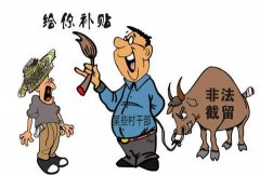 村官被指截留群众财产，违规发放年终