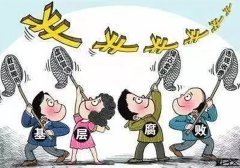 村官涉嫌暗箱操作，违规转卖集体土地