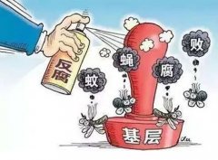 村干部涉嫌以权谋私，扶贫项目弄虚作