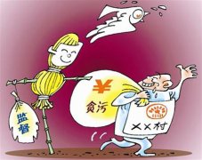 村官以建造“颐养之家”之名为自家修