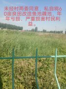 前村官被指假公济私，为自己及其亲属