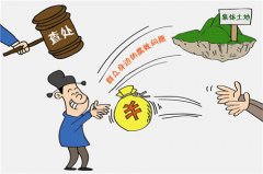 村干部被指假公济私，占用集体农田为