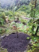 村民诉称公路不通致其日常生活苦不堪