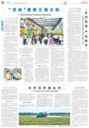 “甘味”香飘三湘大地——甘肃优质特