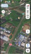 公司法人被指滥伐林木超千株，所得款