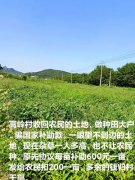 村干部强行以低价收回村民的承包田引