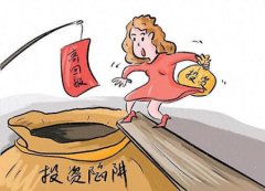 女子以房地产跟投为名非法吸资致受害