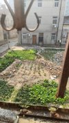 小区拆迁十多年仍未果，百姓居住环境