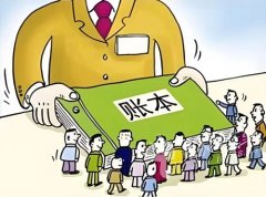 村会计被指以权谋私，违规占用耕地建