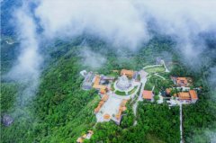 东莞观音山景区2000亩林木惨遭毁坏，谁