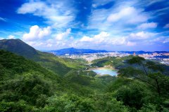 全国首家民营国家森林公园即将被“踢